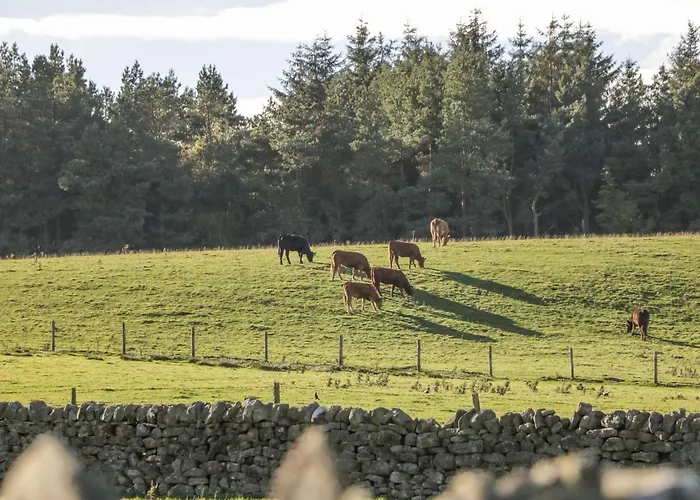 Casa vacanze The Granary